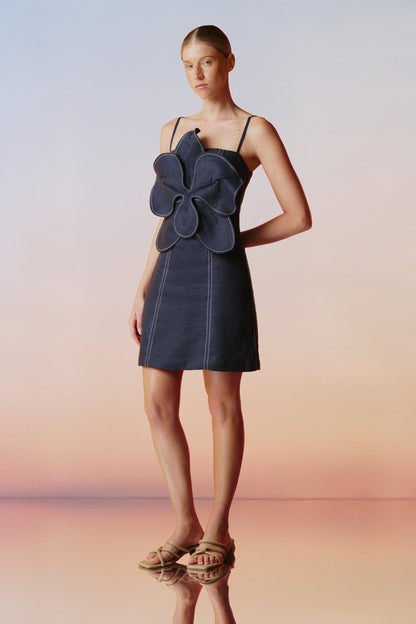 Donde Nace Mini Dress